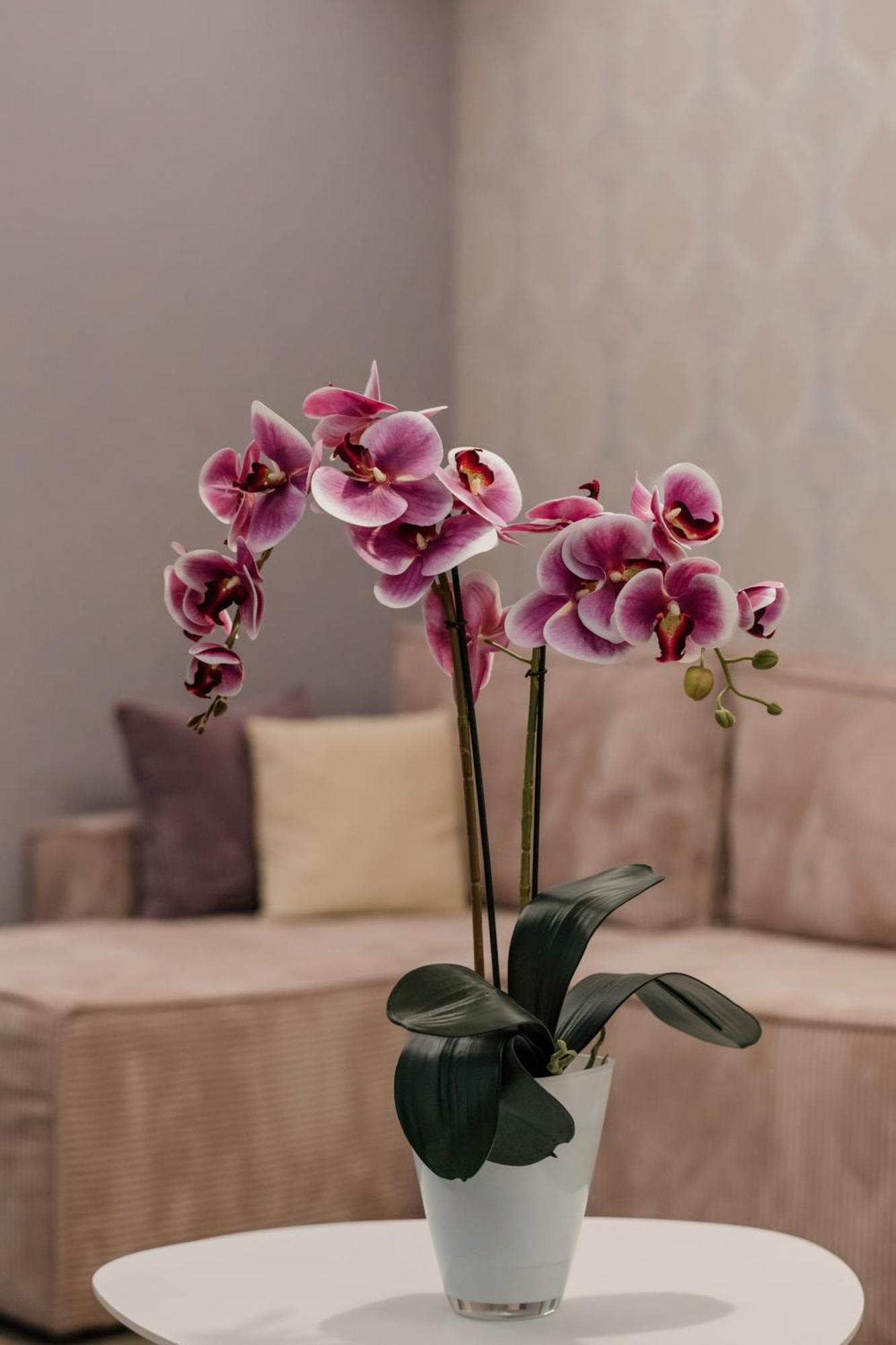 Hotel Beli Dvor ชาชาค ภายนอก รูปภาพ